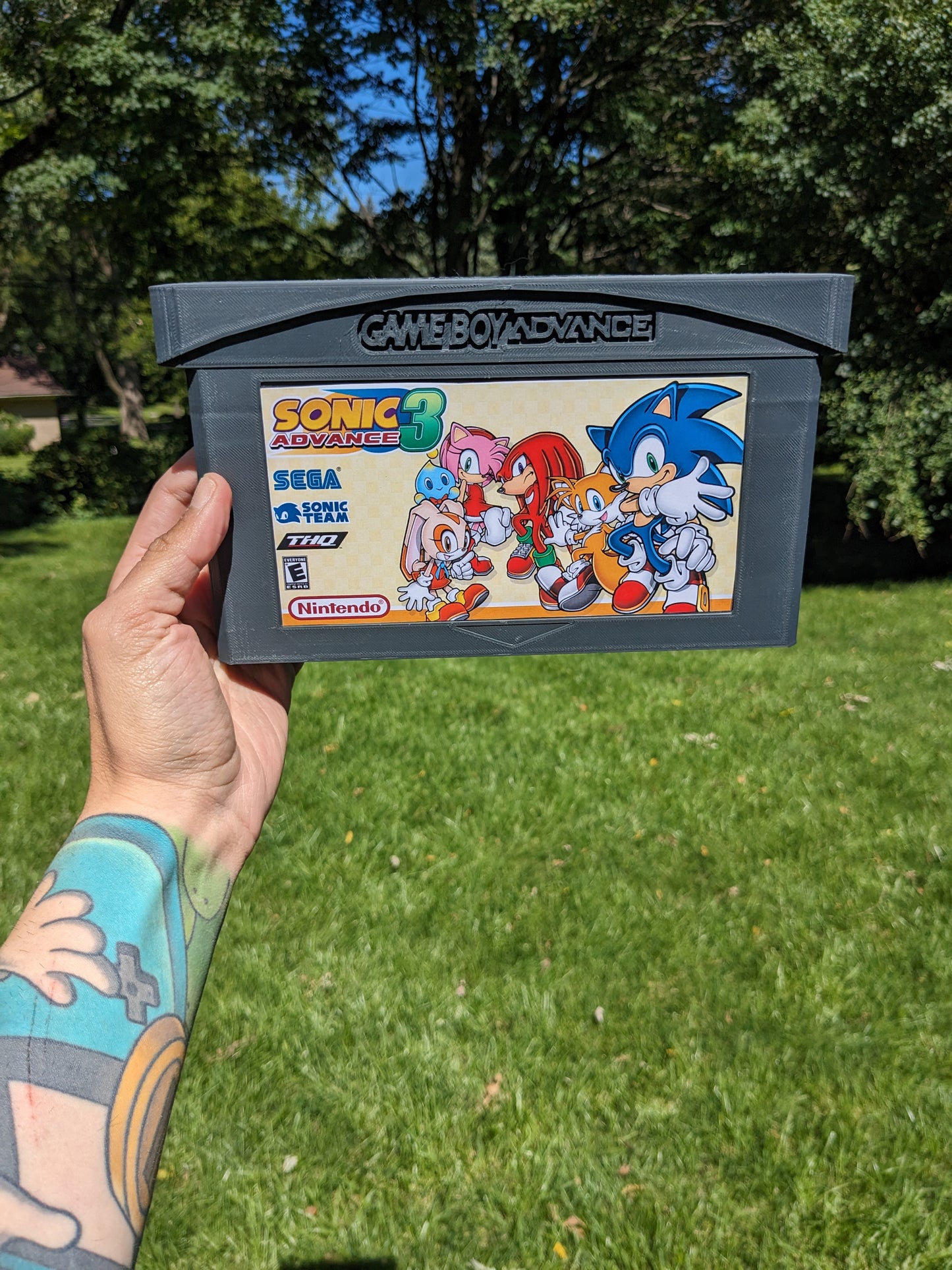 Sonic Advance 3 (GBA)