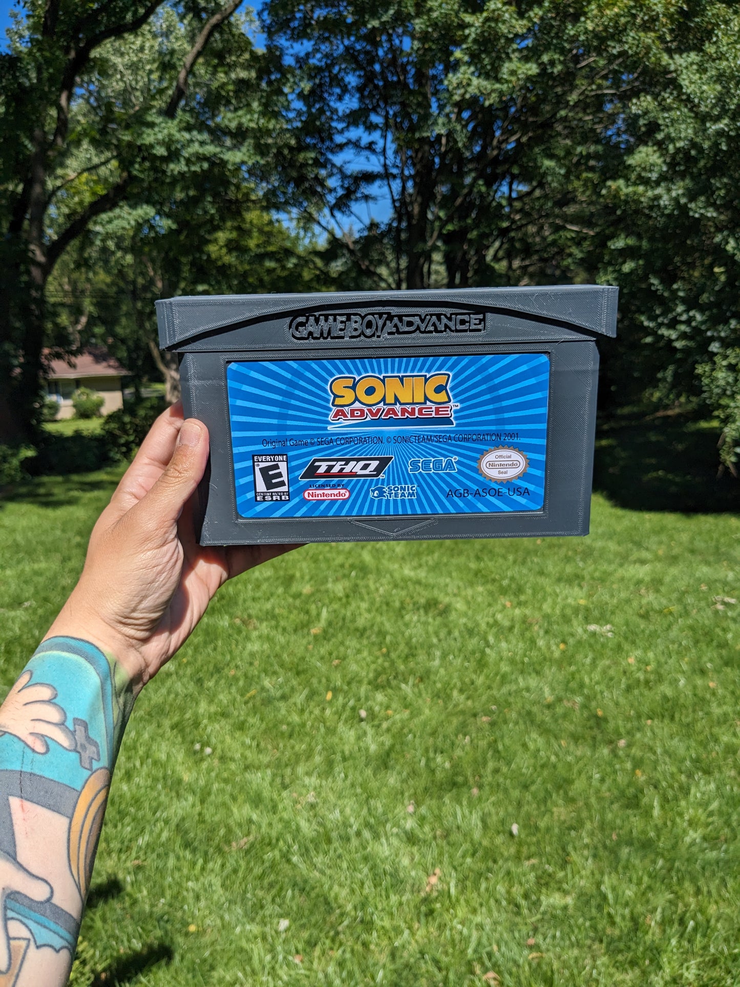 Sonic Advance (GBA)