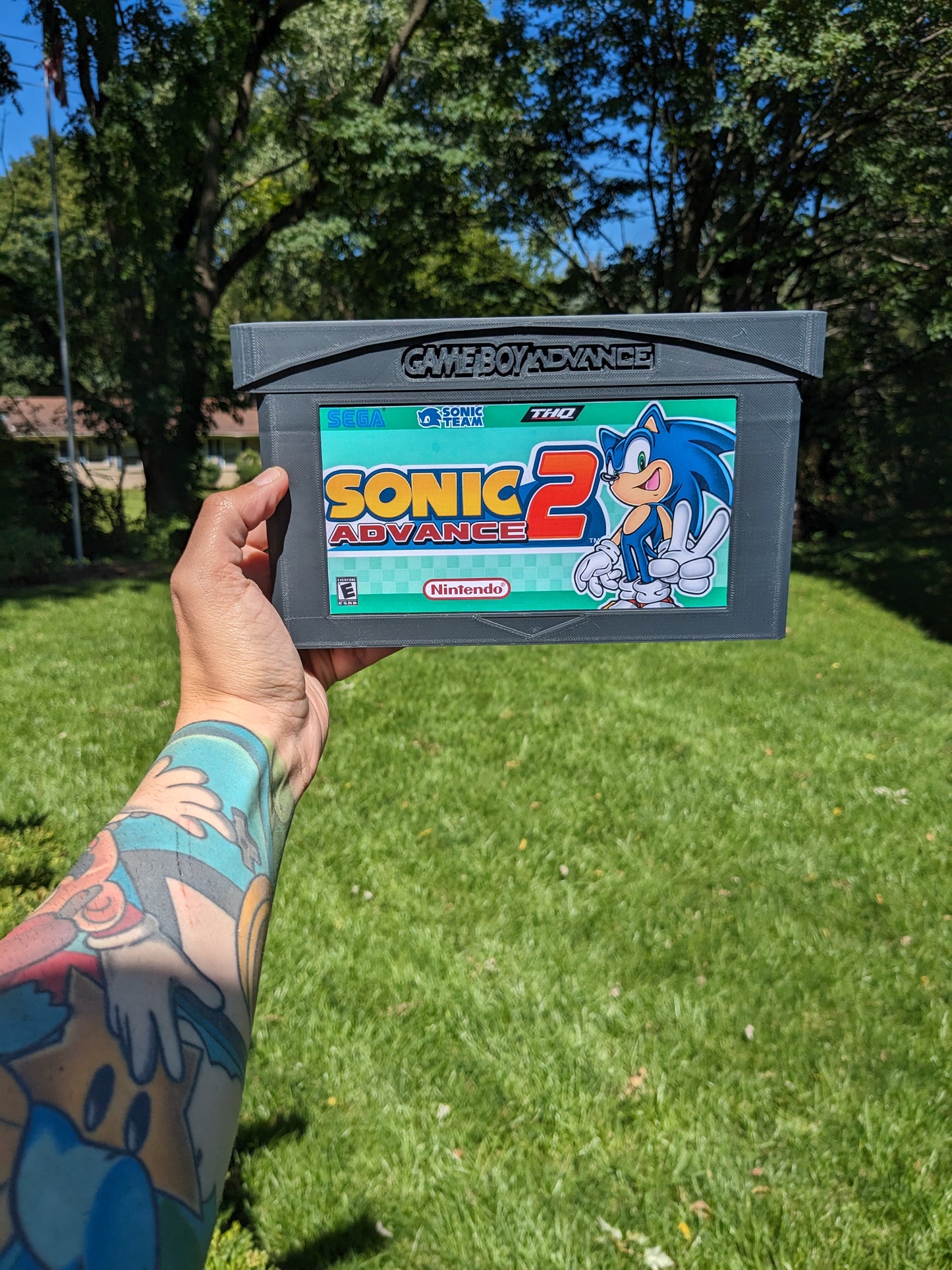 Sonic Advance 2 (GBA)