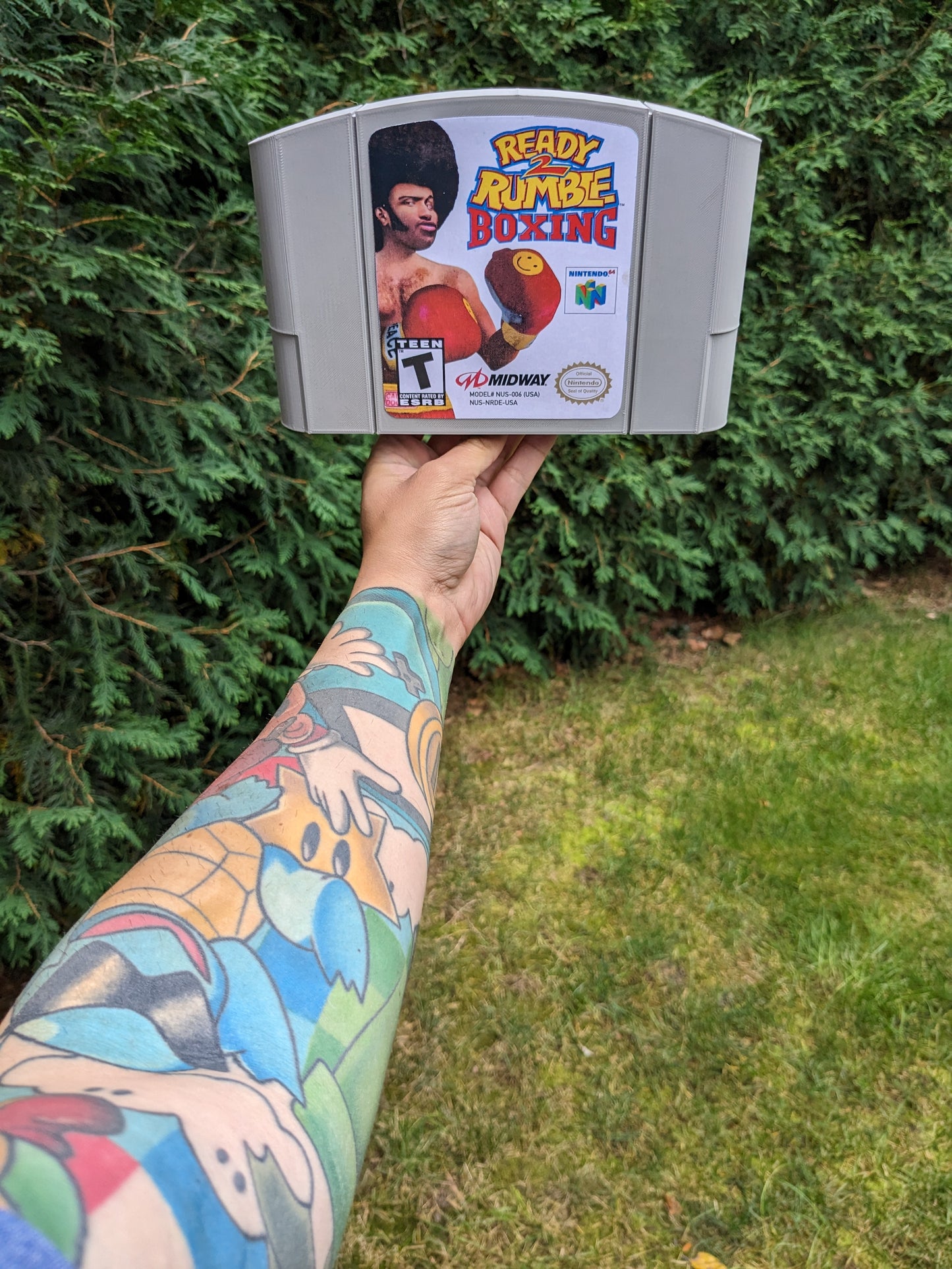 Ready 2 Rumble Boxing (N64)