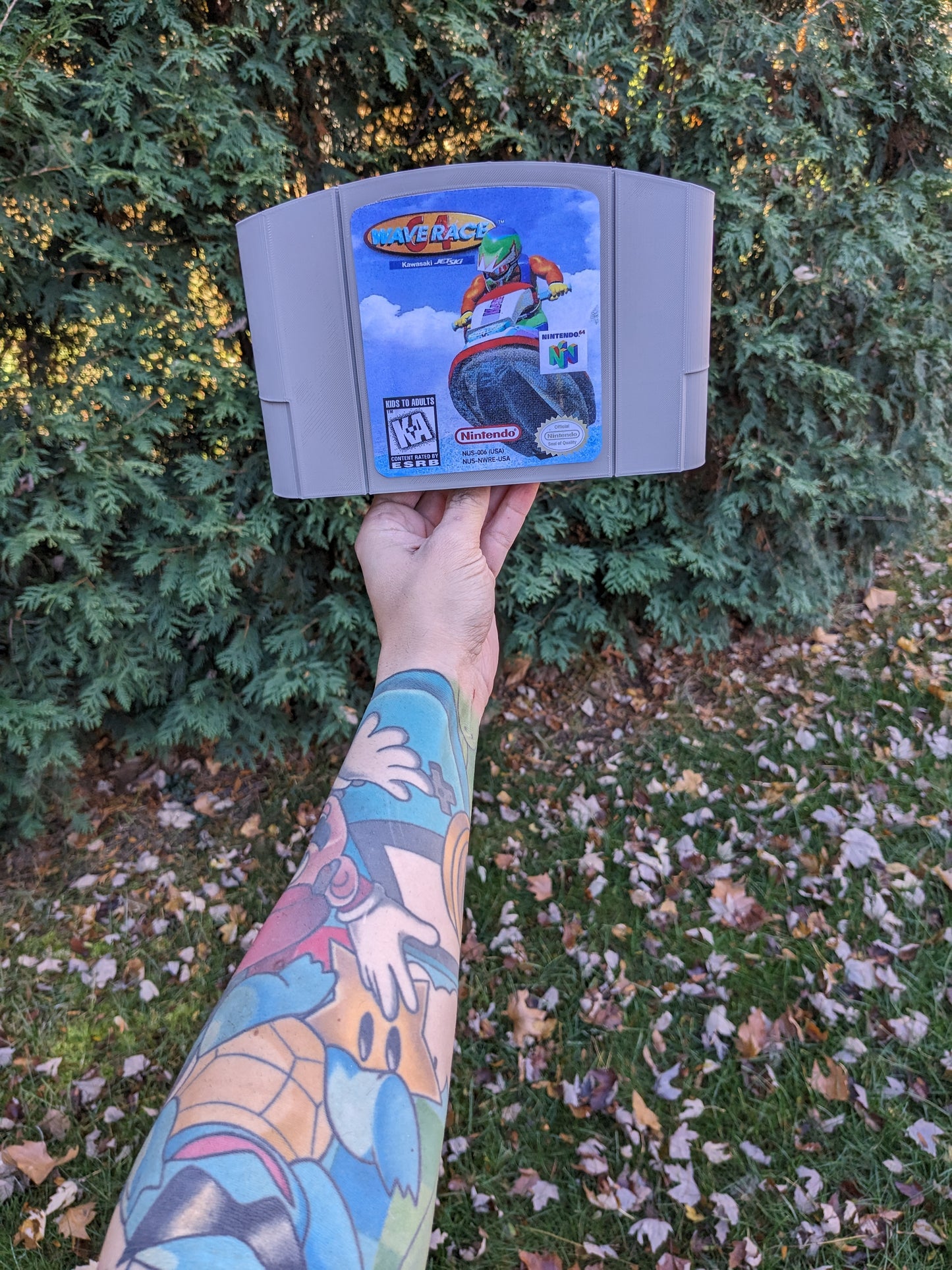 Wave Race 64 (N64)