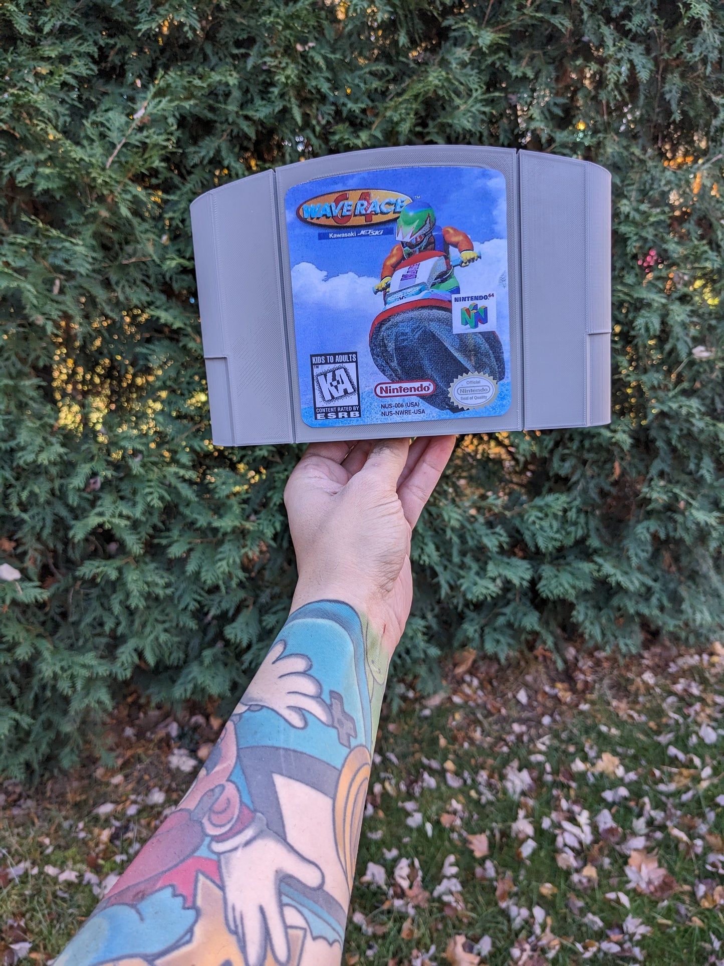 Wave Race 64 (N64)