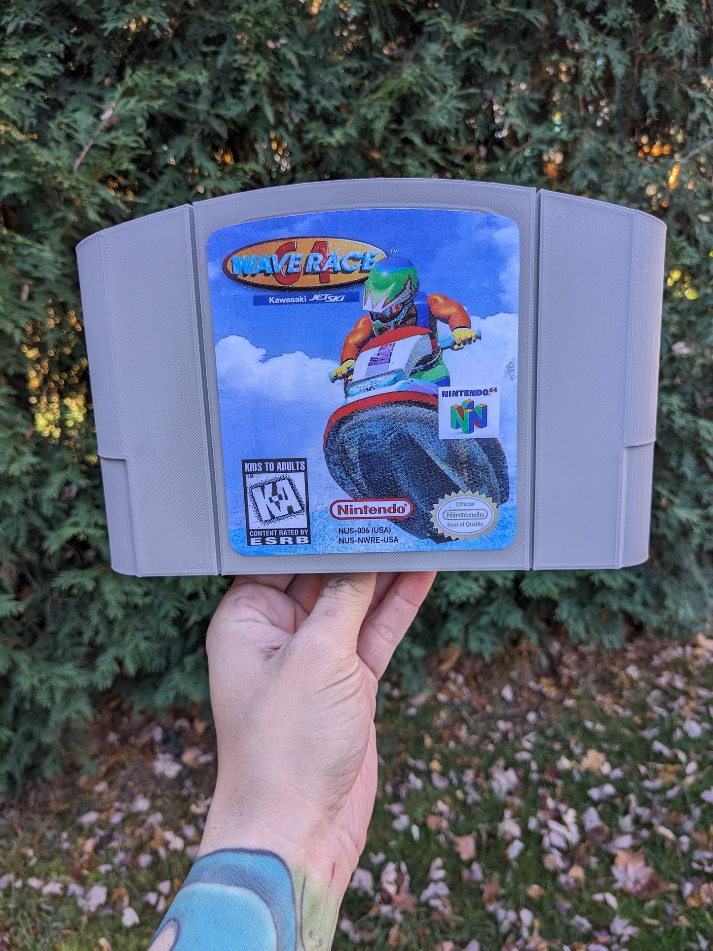 Wave Race 64 (N64)